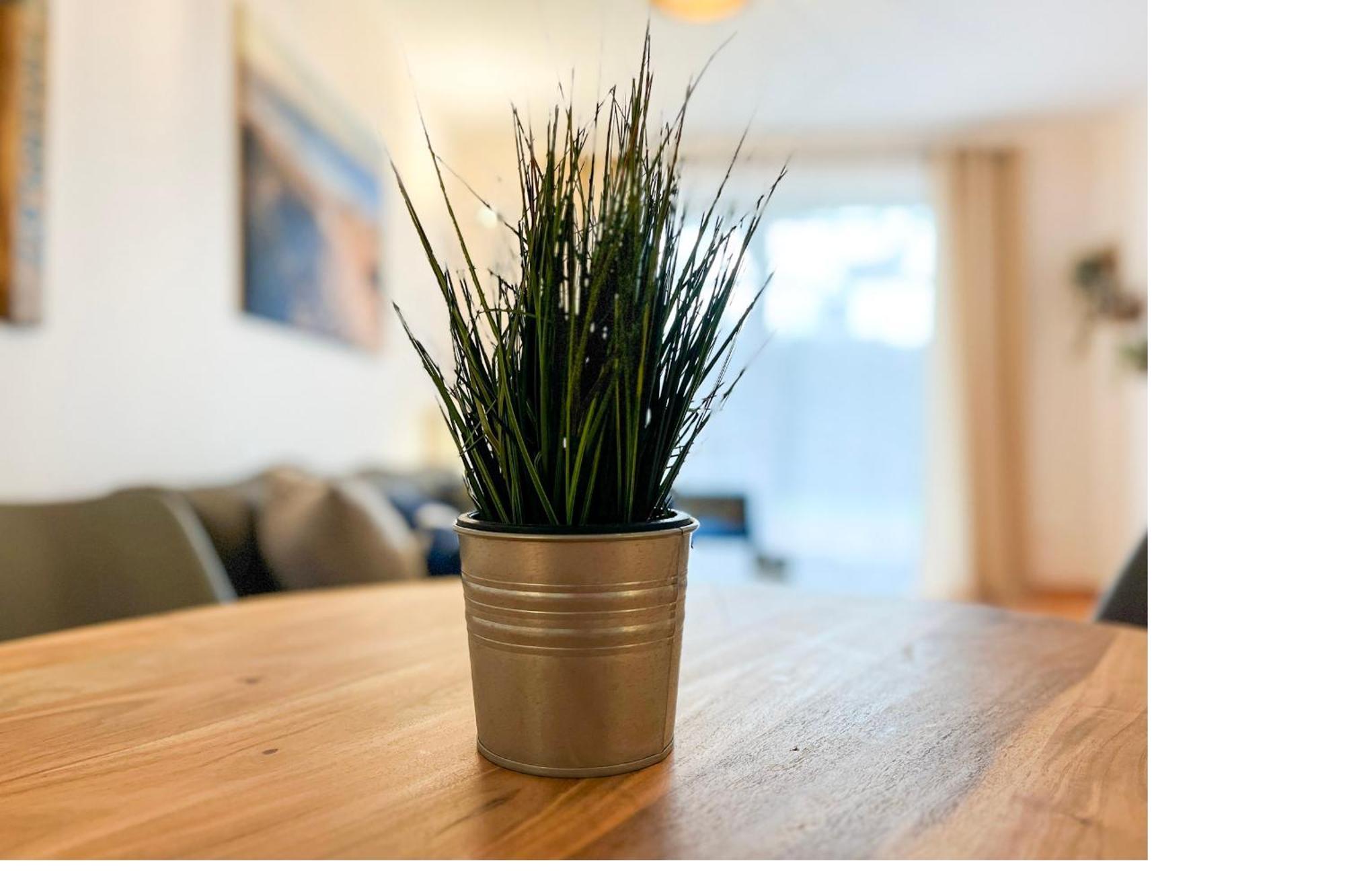 Hanse-Hof Wohnung 05 Boltenhagen  Zewnętrze zdjęcie